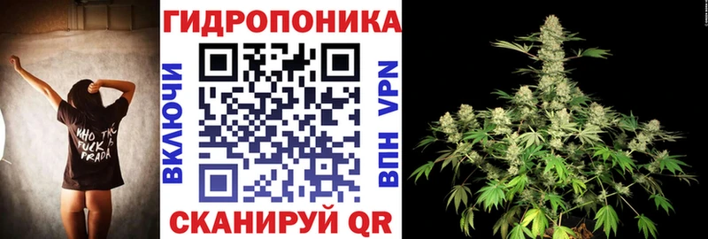 Виды наркотиков купить Бородино Конопля  Кокаин  А ПВП  ГАШИШ 