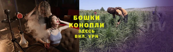 ALPHA PVP Бородино