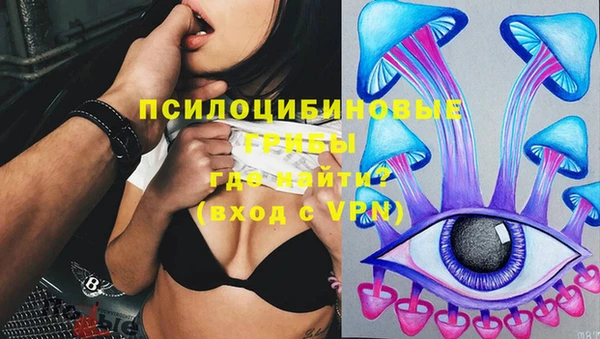 ALPHA PVP Бородино