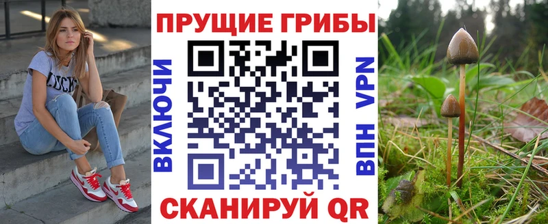 Галлюциногенные грибы Psilocybe  Бородино 