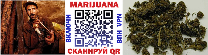 закладка Бородино Канабис гибрид